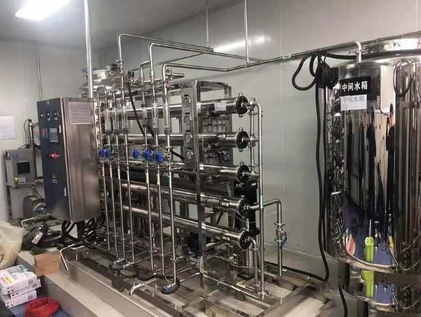 1,000L/H Ultra-Pure Water System
